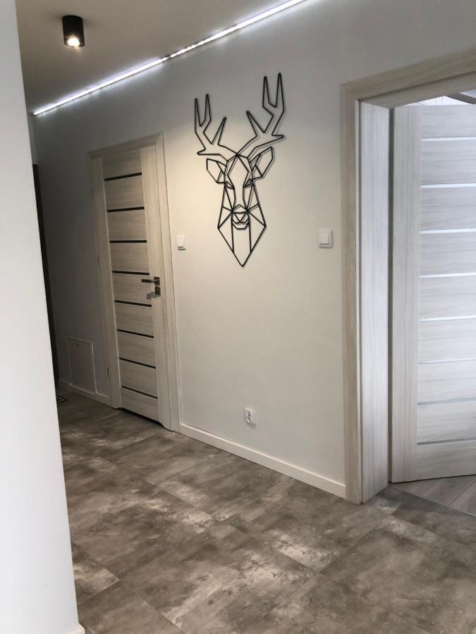 Apartament Happiness Jelenia Góra Eksteriør billede
